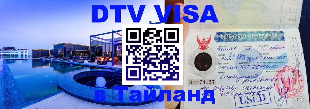 Оформить DTV визу в Тайланд Бердск 